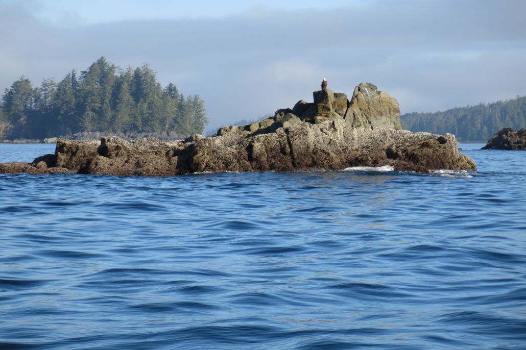 Eagle Nook Resort Ucluelet Extérieur photo